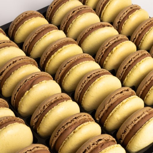 Hazelnut Praline Macarons – Tray of 35